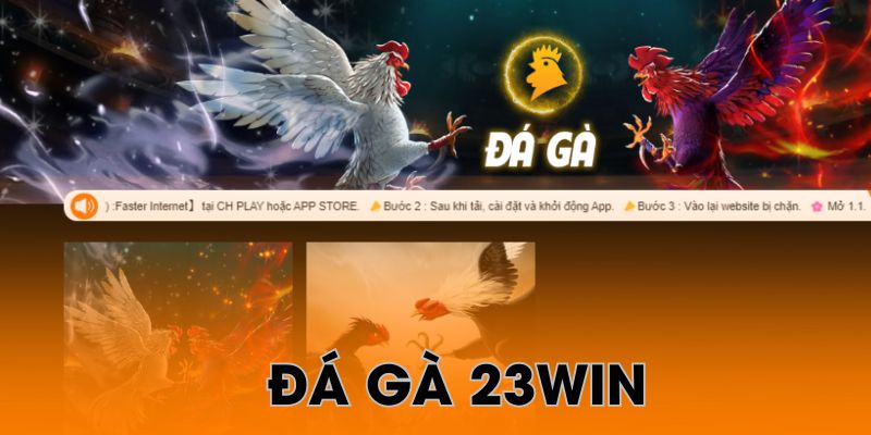 Giới thiệu các bạn game Đá Gà 23win – Link vào game 23win mới nhất